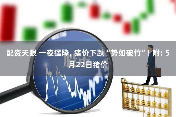 配资天眼 一夜猛降, 猪价下跌“势如破竹”! 附: 5月22日猪价