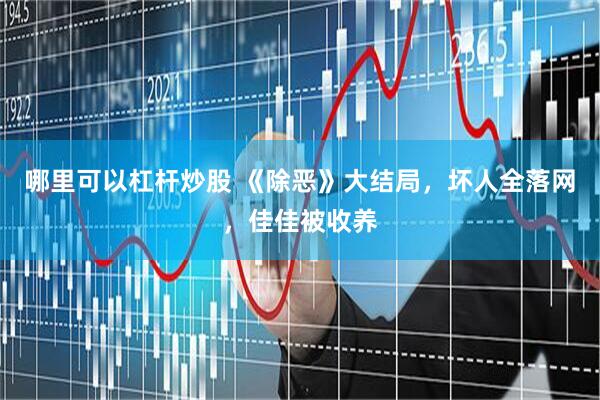哪里可以杠杆炒股 《除恶》大结局，坏人全落网，佳佳被收养